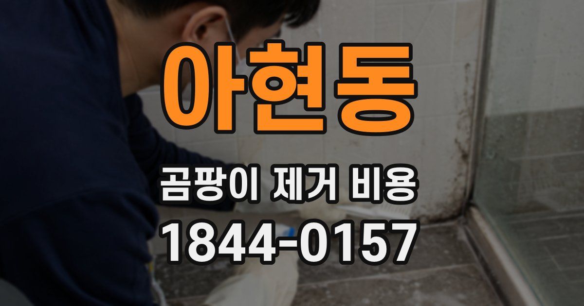 아현동 곰팡이 제거 비용