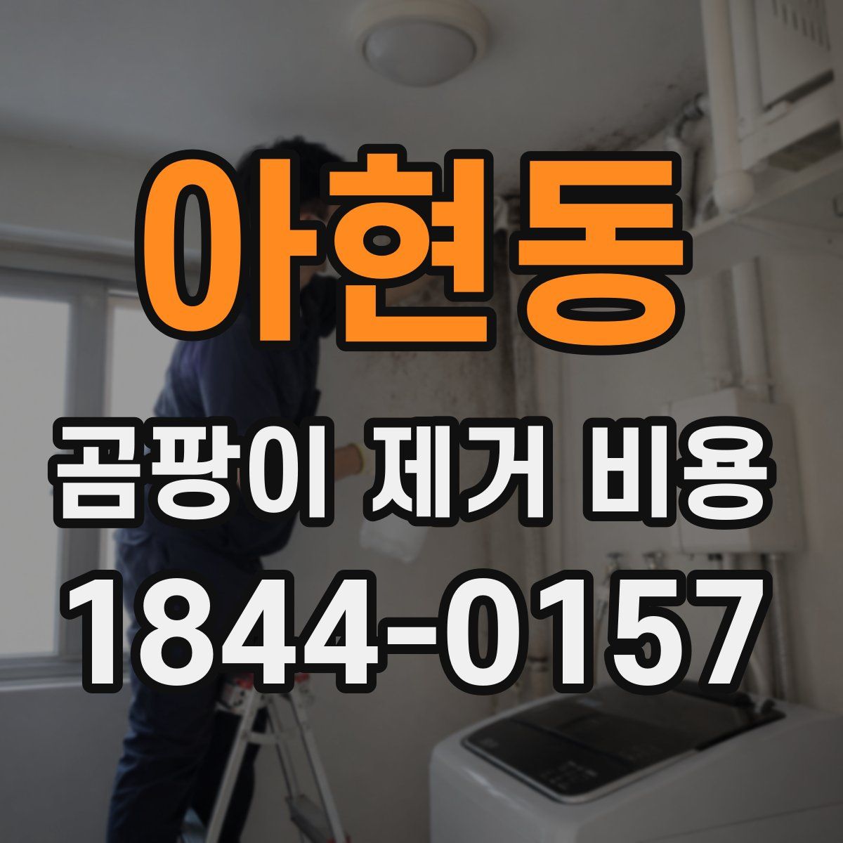 아현동 곰팡이 제거 비용