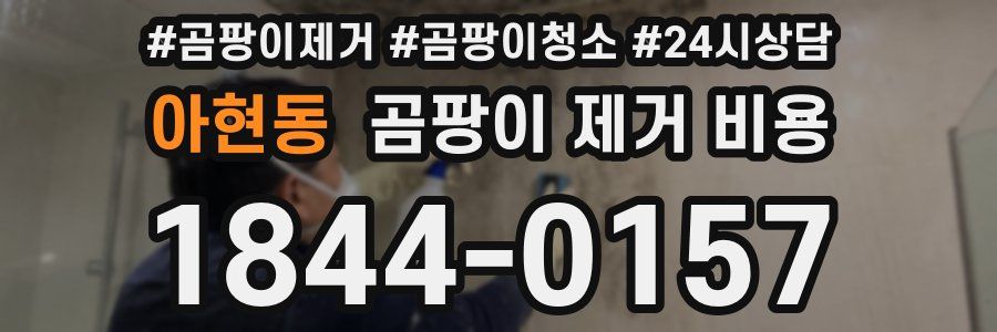 아현동 곰팡이 제거 비용