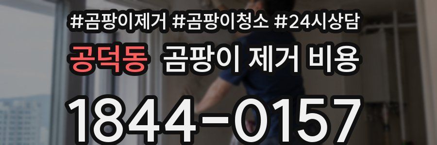 공덕동 곰팡이 제거 비용