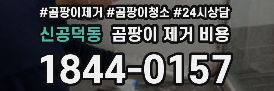 신공덕동 곰팡이 제거 비용