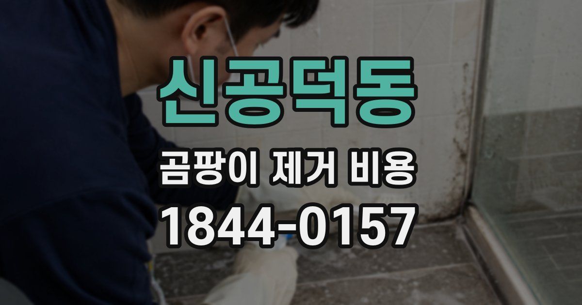 신공덕동 곰팡이 제거 비용