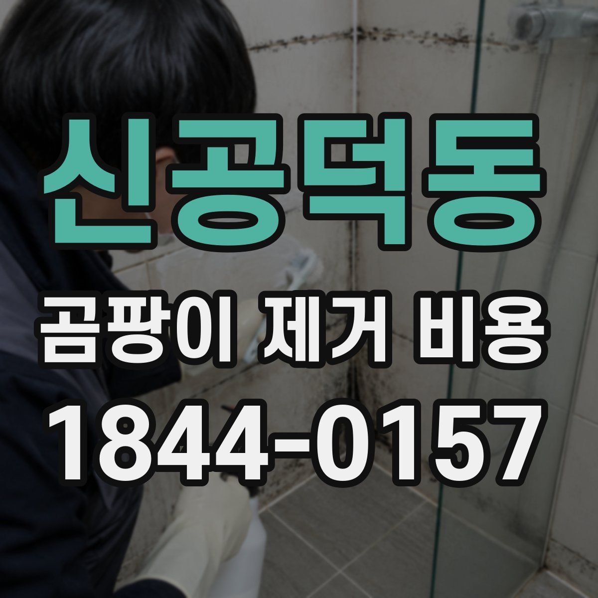 신공덕동 곰팡이 제거 비용