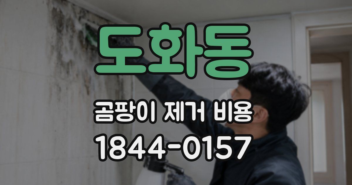 도화동 곰팡이 제거 비용