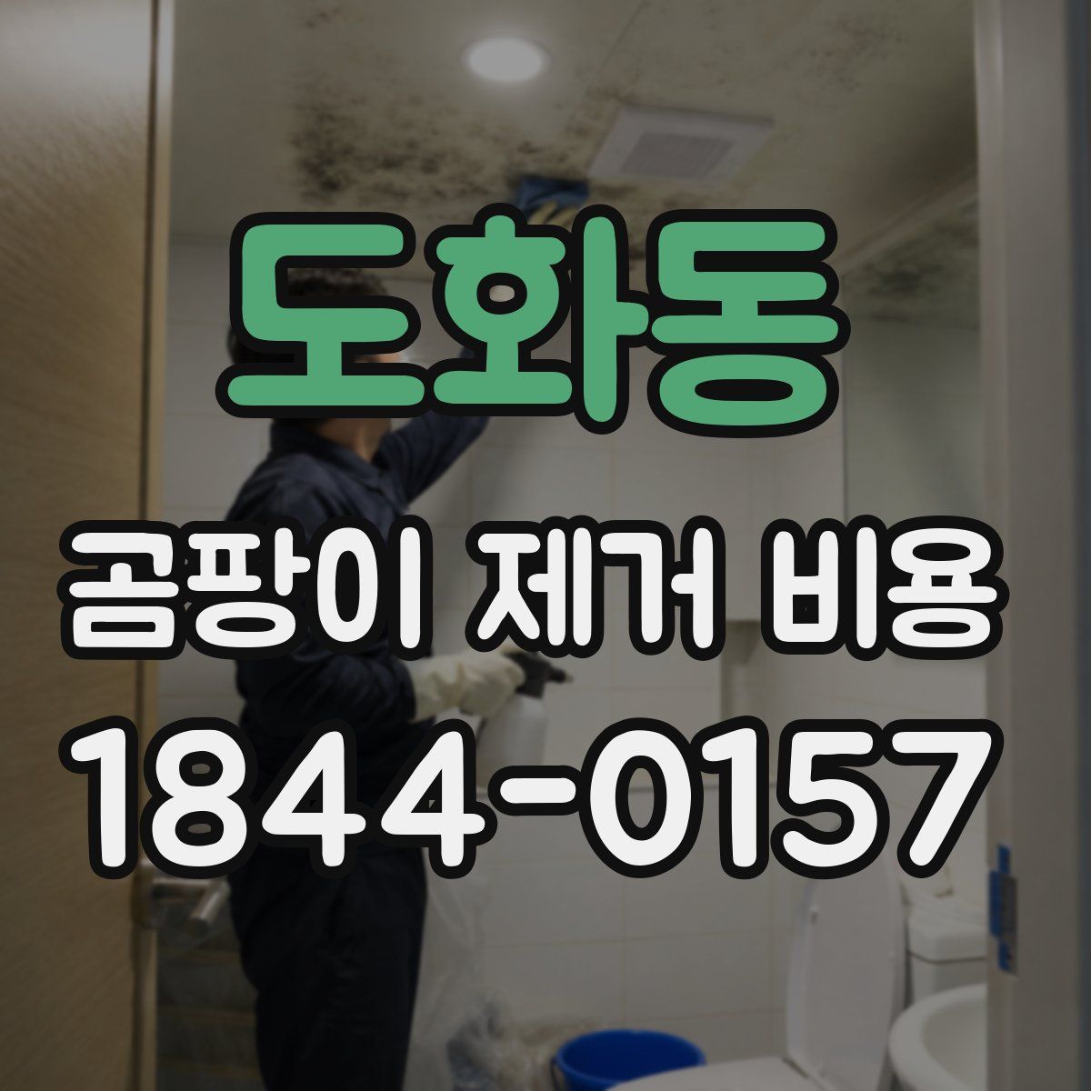 도화동 곰팡이 제거 비용
