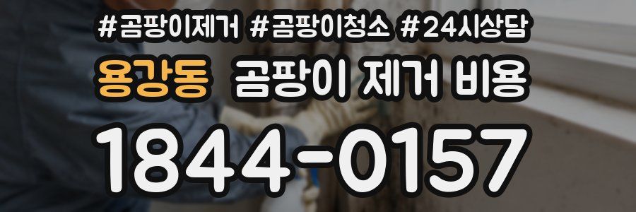 용강동 곰팡이 제거 비용