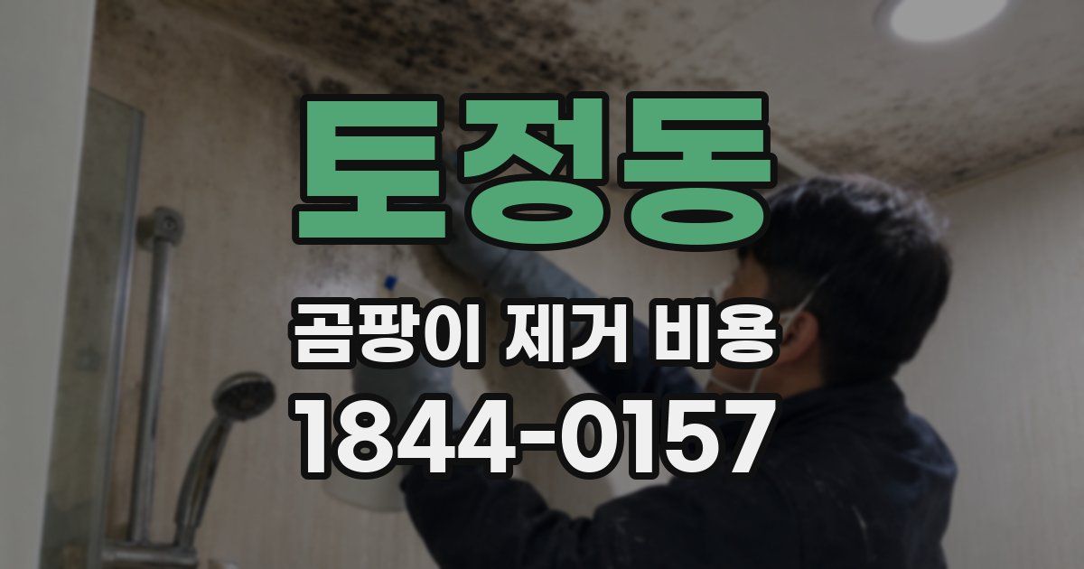 토정동 곰팡이 제거 비용
