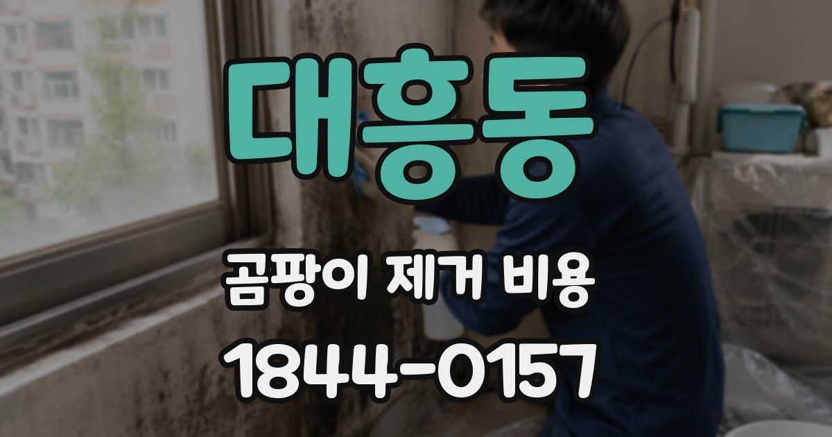 대흥동 곰팡이 제거 비용