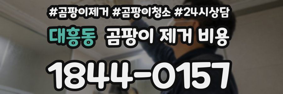 대흥동 곰팡이 제거 비용