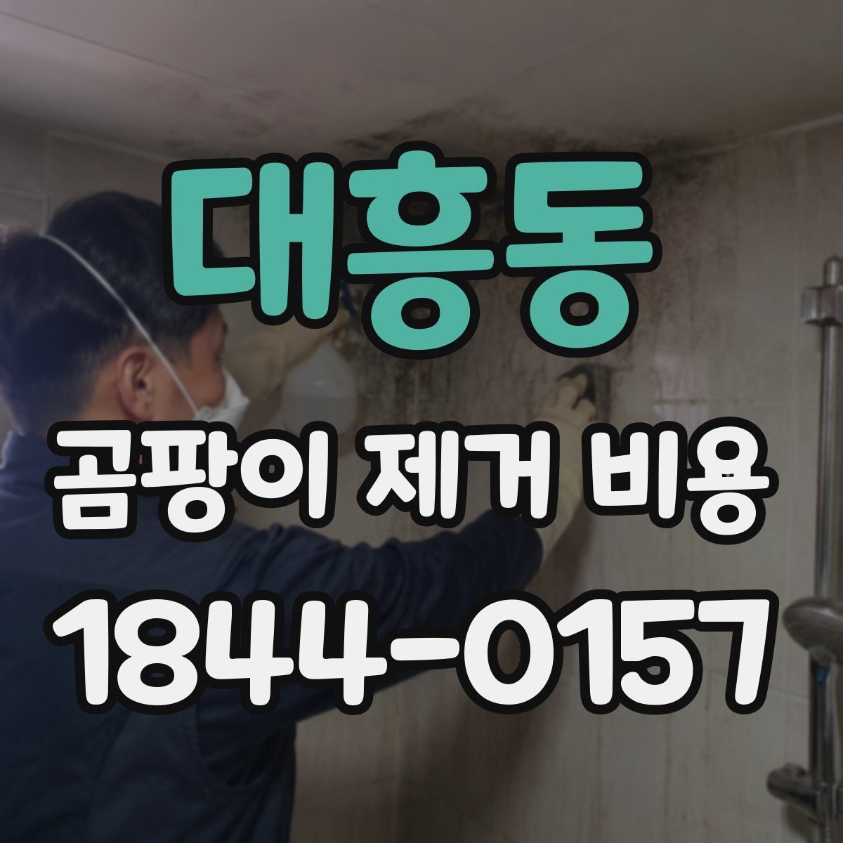대흥동 곰팡이 제거 비용