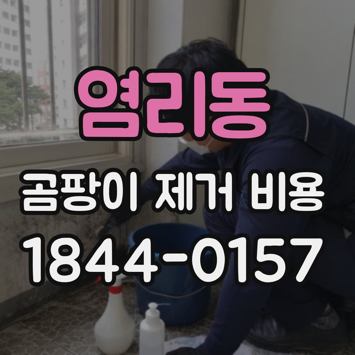 염리동 곰팡이 제거 비용