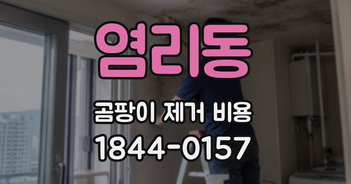 염리동 곰팡이 제거 비용