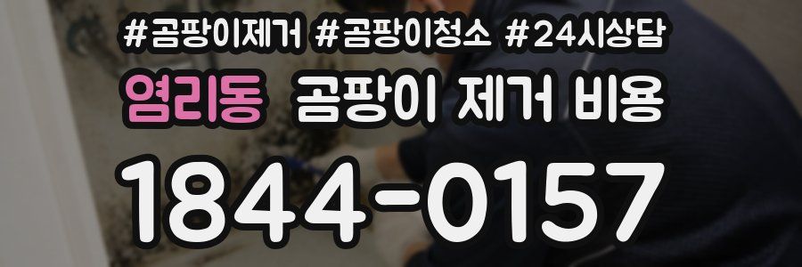 염리동 곰팡이 제거 비용