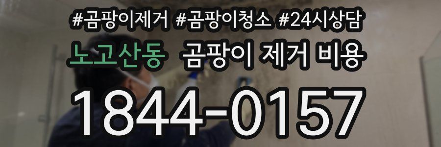 노고산동 곰팡이 제거 비용