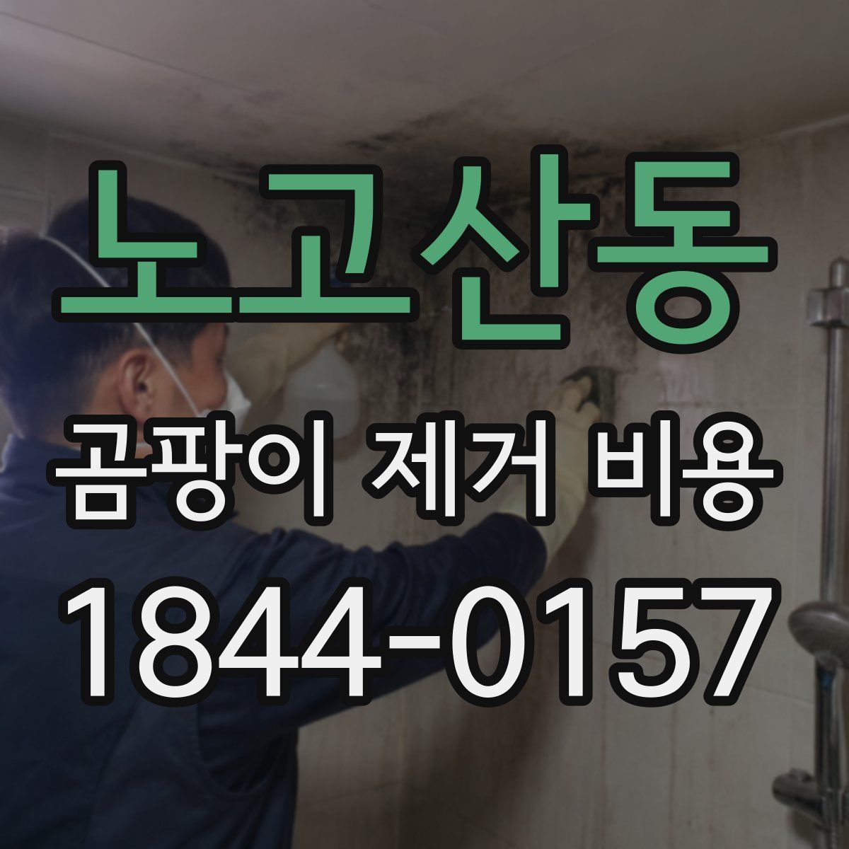 노고산동 곰팡이 제거 비용