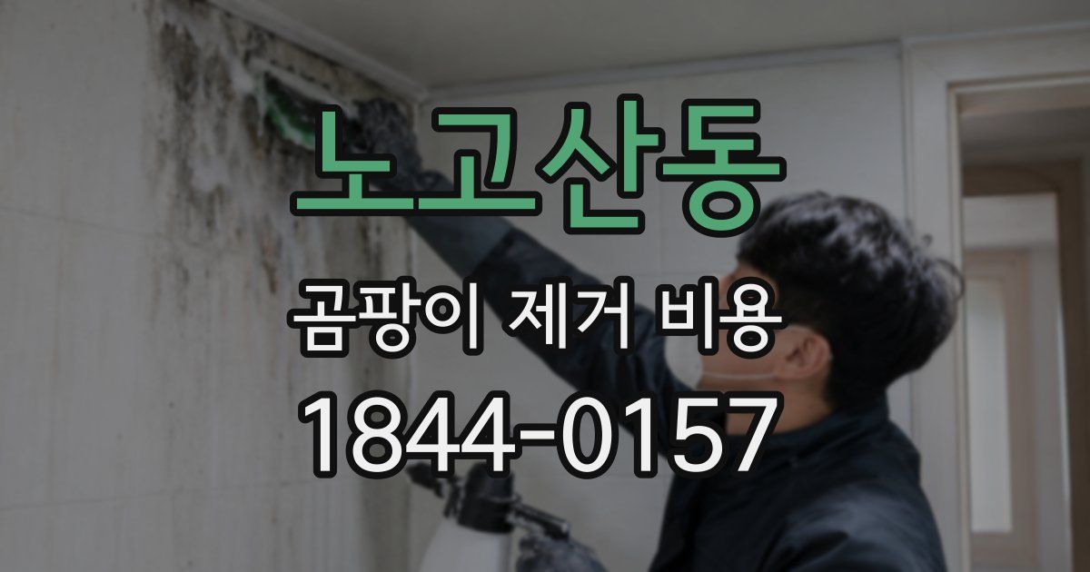노고산동 곰팡이 제거 비용