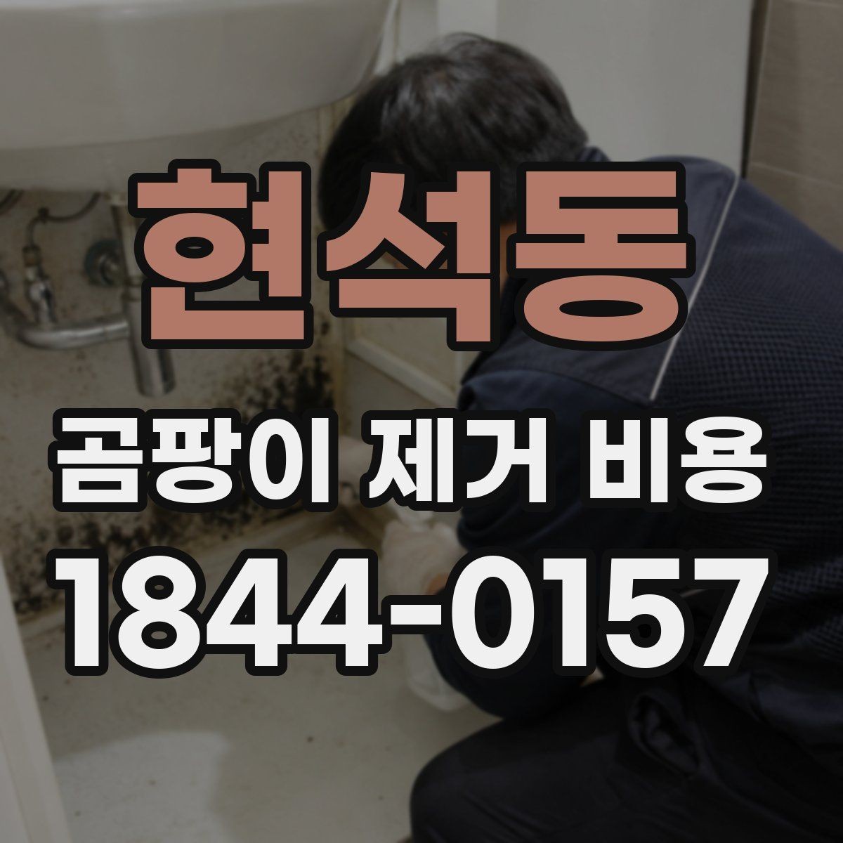 현석동 곰팡이 제거 비용 현장 조사에서 빠지지 말아야 할 항목