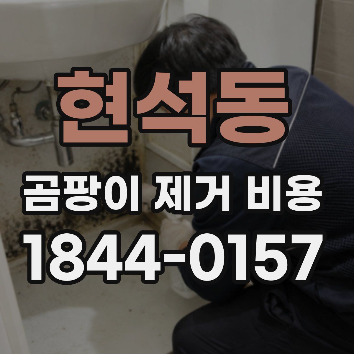 현석동 곰팡이 제거 비용