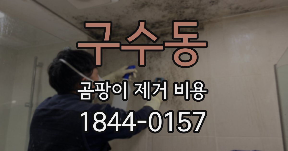 구수동 곰팡이 제거 비용
