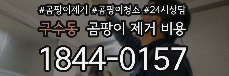 구수동 곰팡이 제거 비용