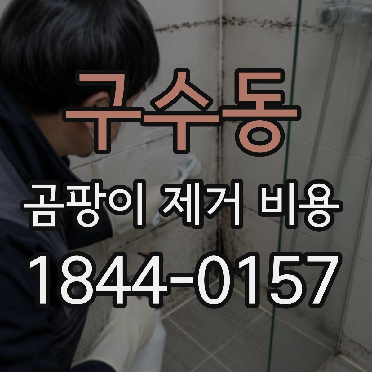 구수동 곰팡이 제거 비용