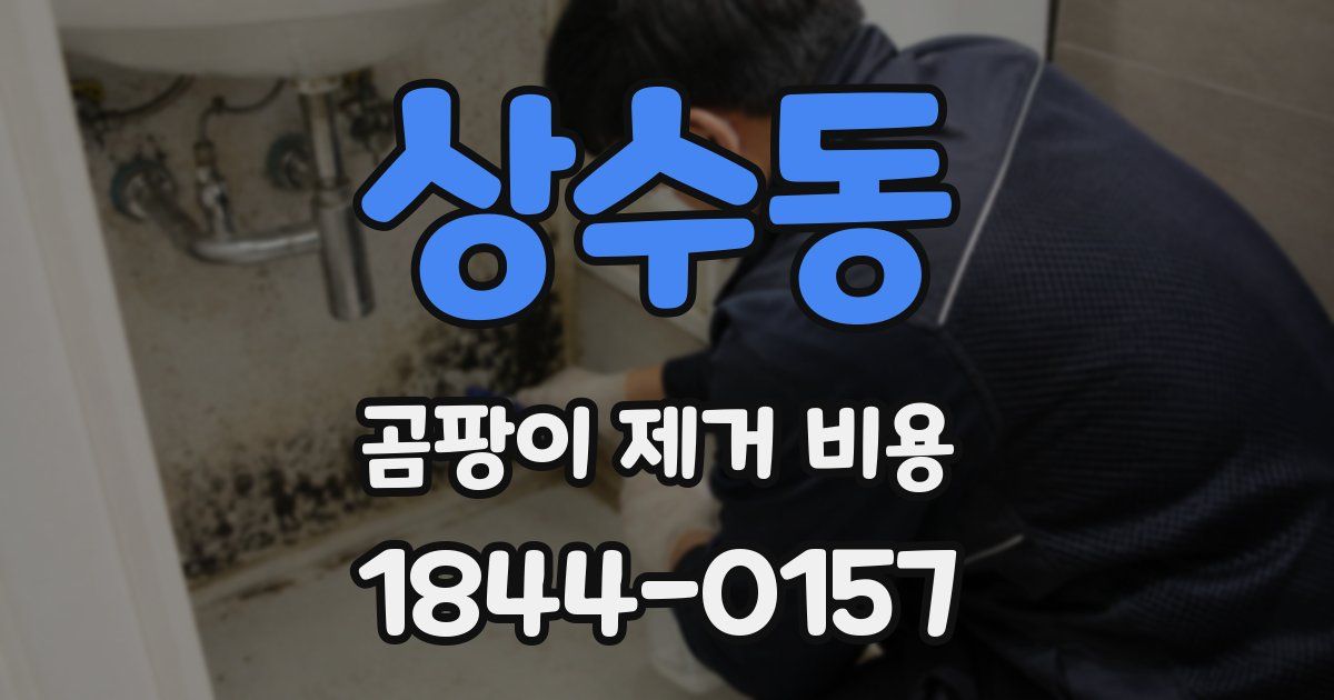 상수동 곰팡이 제거 비용