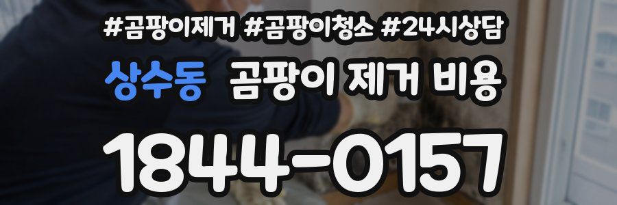 상수동 곰팡이 제거 비용