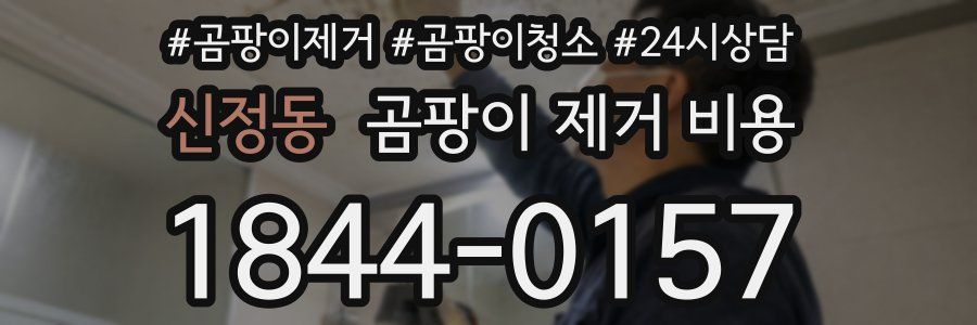신정동 곰팡이 제거 비용