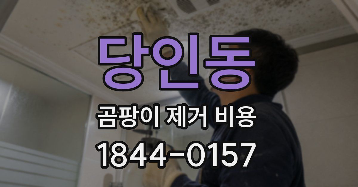 당인동 곰팡이 제거 비용