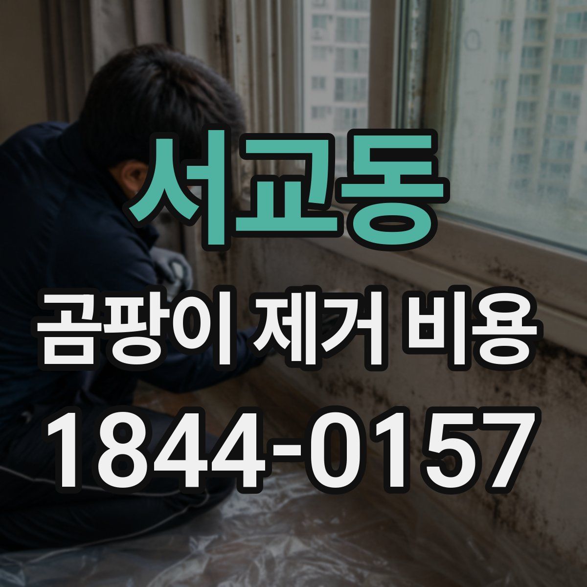 서교동 곰팡이 제거 비용