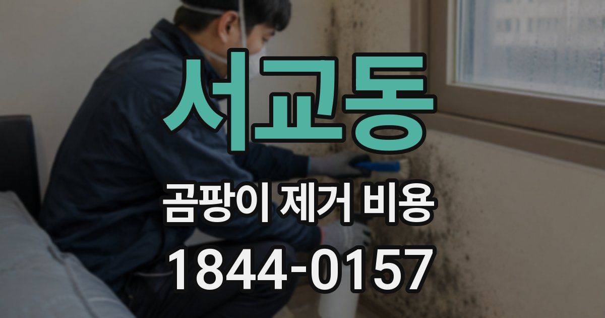 서교동 곰팡이 제거 비용