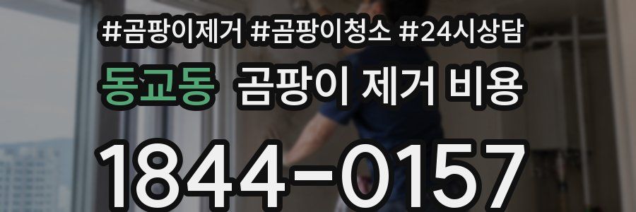 동교동 곰팡이 제거 비용
