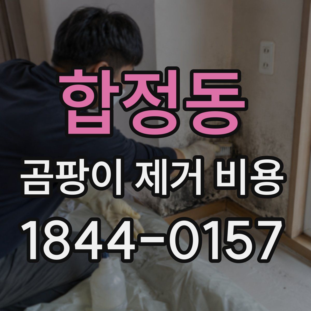 합정동 곰팡이 제거 비용
