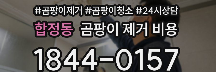 합정동 곰팡이 제거 비용