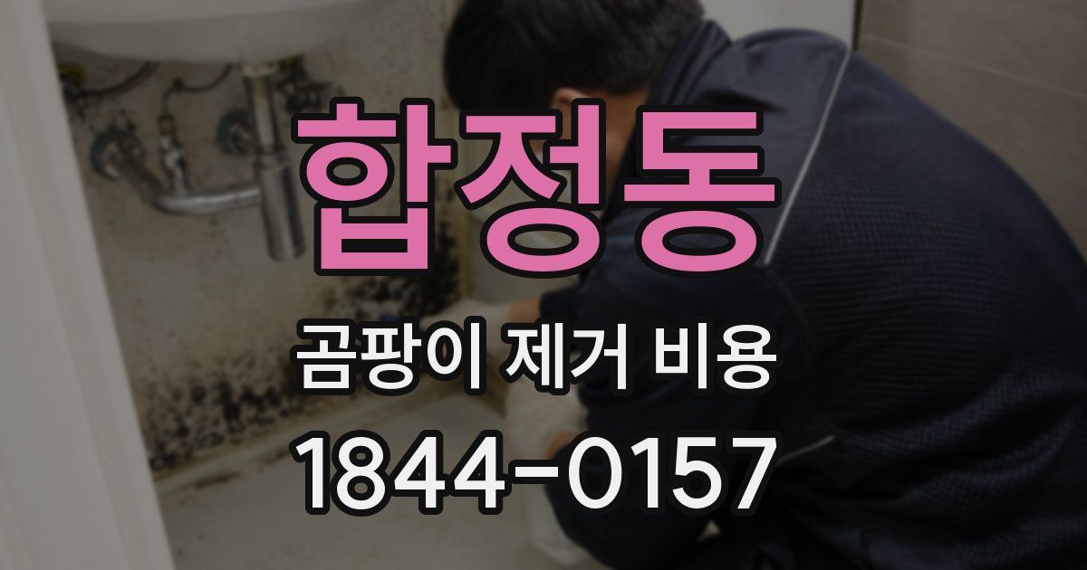 합정동 곰팡이 제거 비용