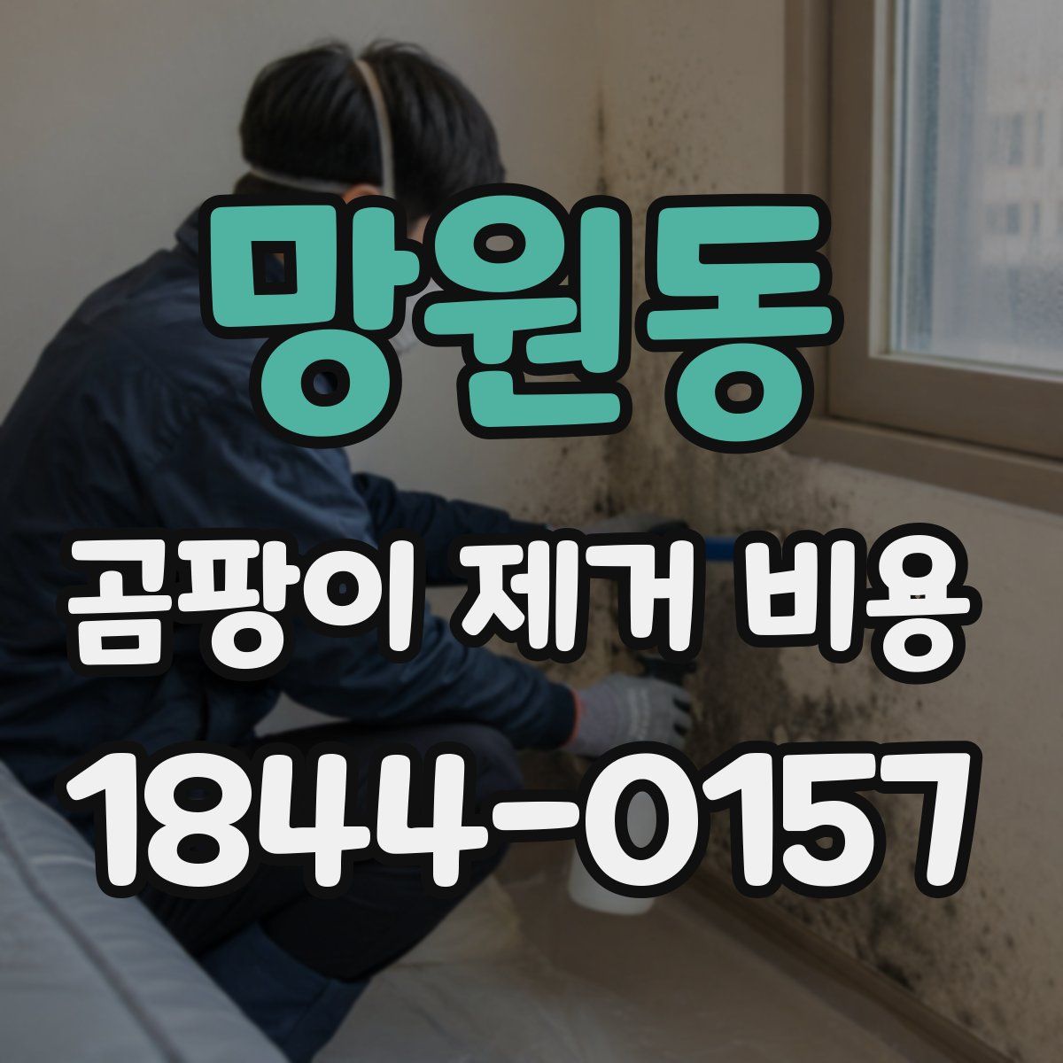 망원동 곰팡이 제거 비용