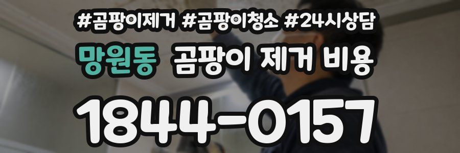 망원동 곰팡이 제거 비용