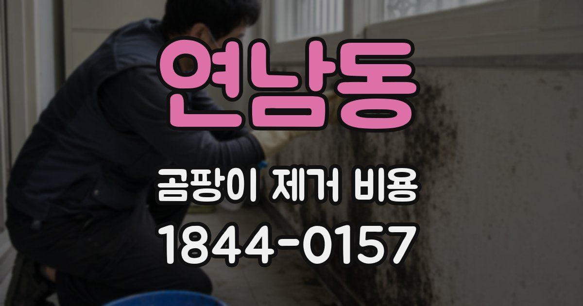 연남동 곰팡이 제거 비용