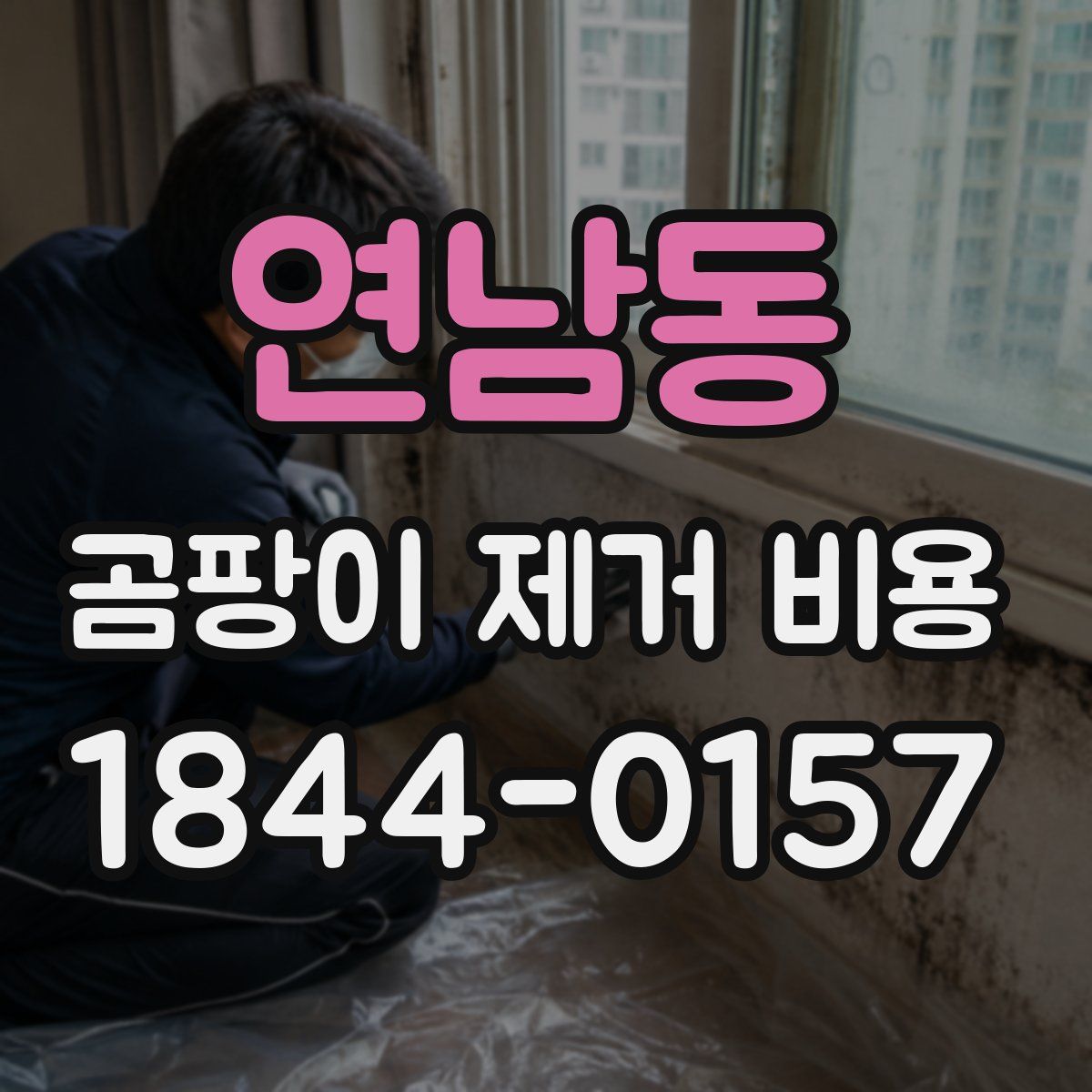 연남동 곰팡이 제거 비용