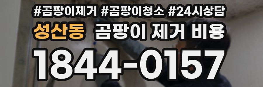 성산동 곰팡이 제거 비용
