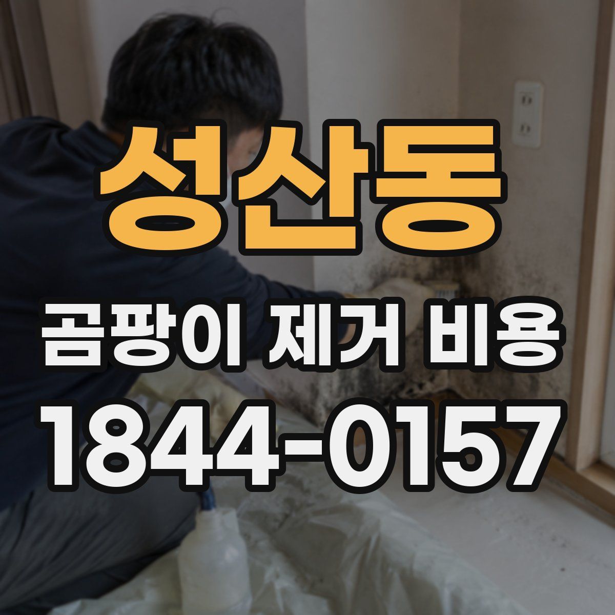 성산동 곰팡이 제거 비용