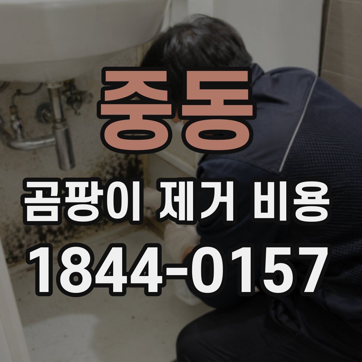 중동 곰팡이 제거 비용