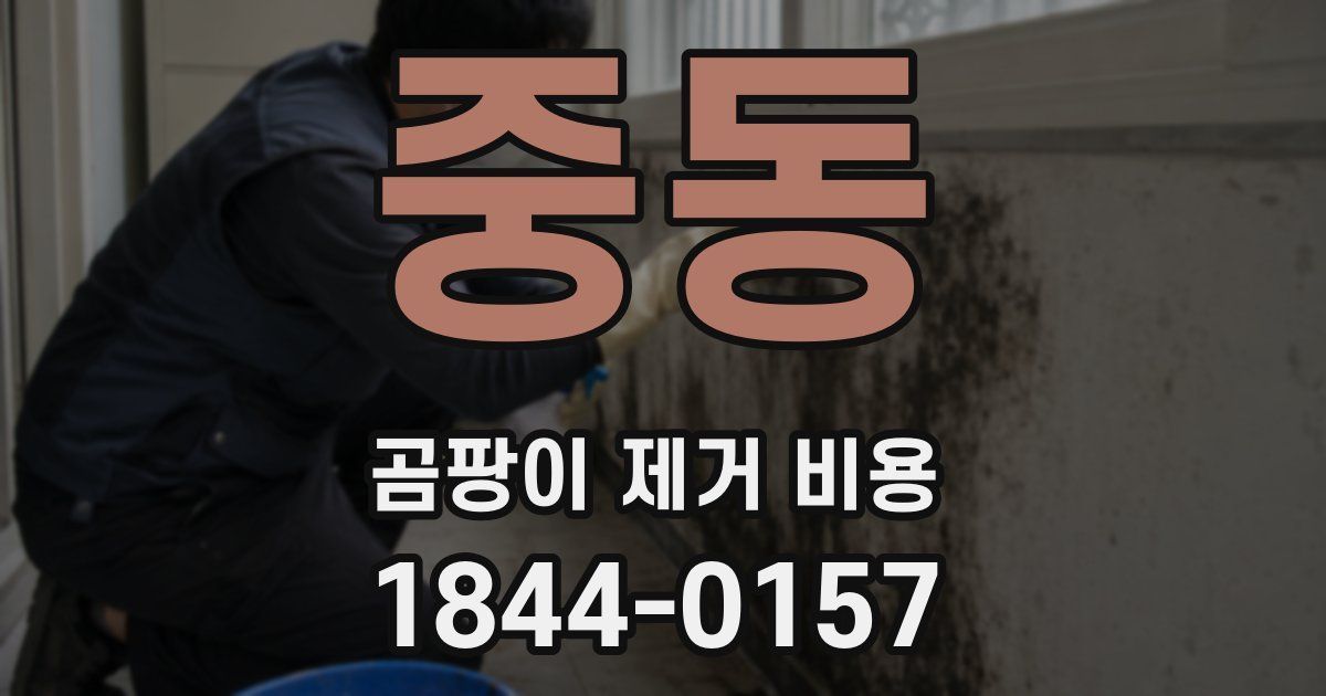 중동 곰팡이 제거 비용