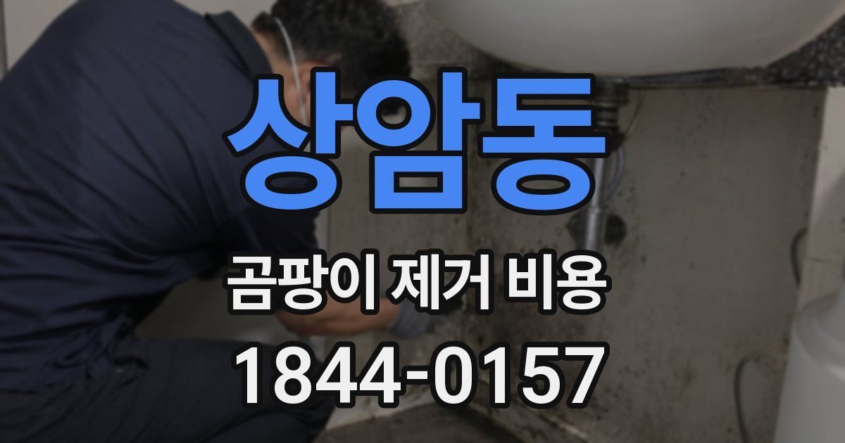 상암동 곰팡이 제거 비용