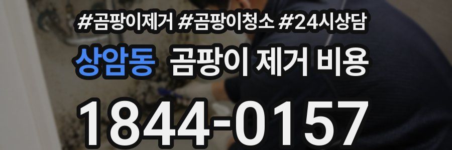 상암동 곰팡이 제거 비용