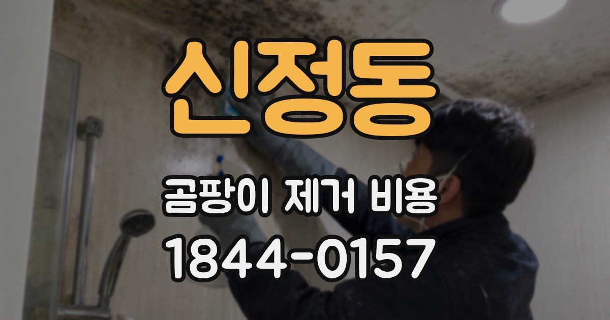 신정동 곰팡이 제거 비용
