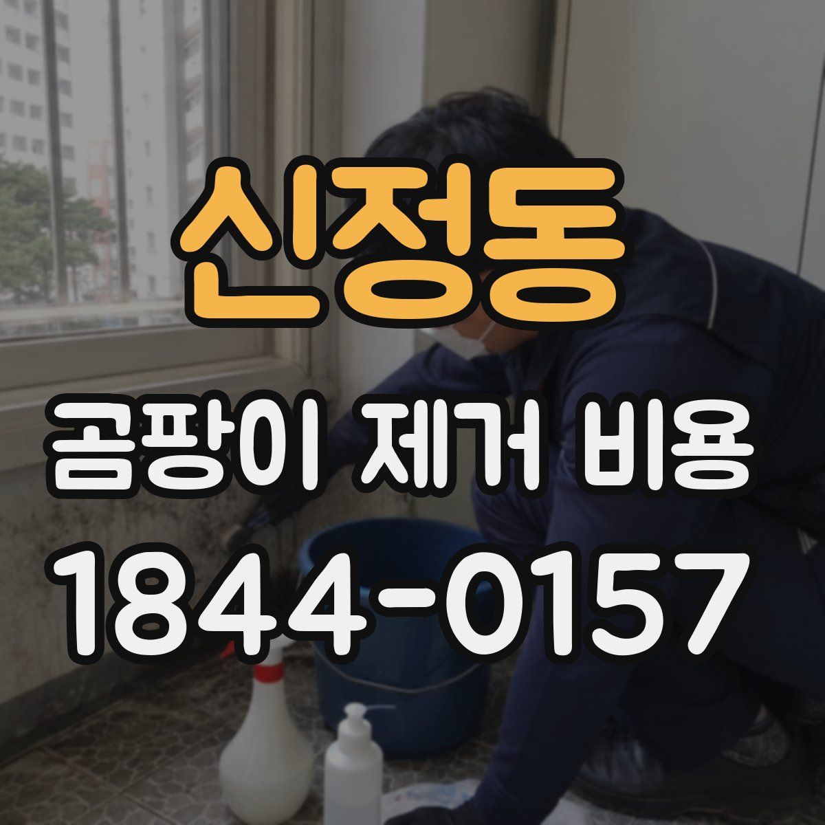 신정동 곰팡이 제거 비용