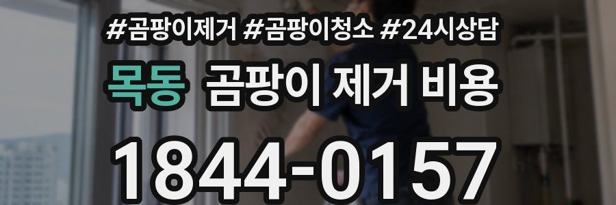 목동 곰팡이 제거 비용