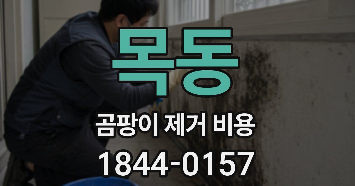 목동 곰팡이 제거 비용