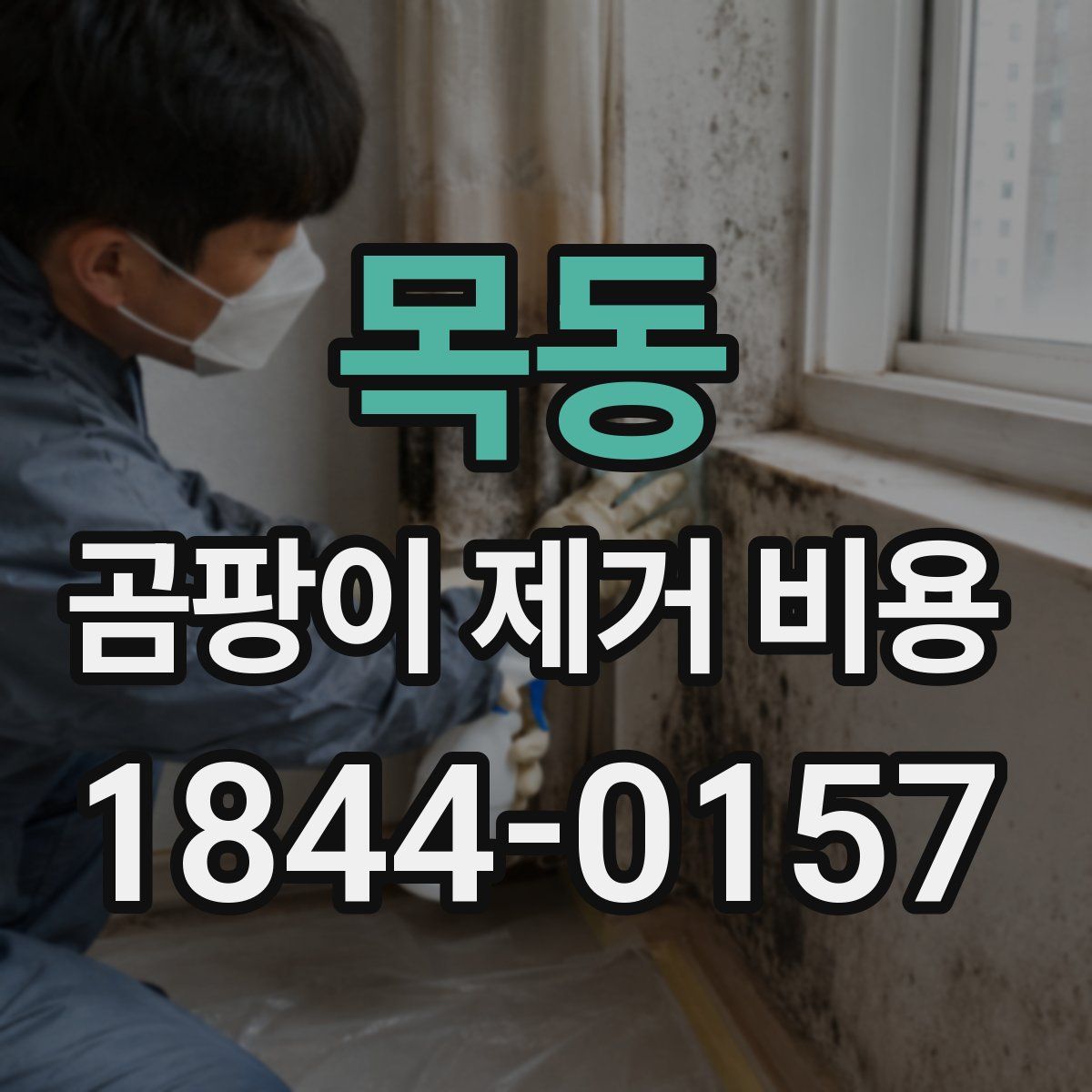 목동 곰팡이 제거 비용